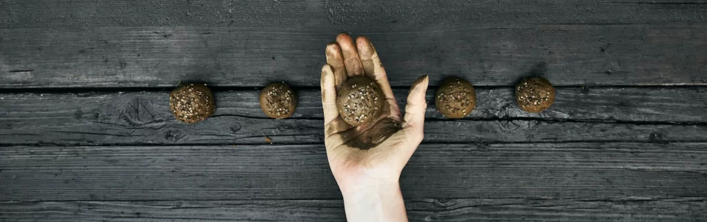 Lav frøbomber, seedbombs selv