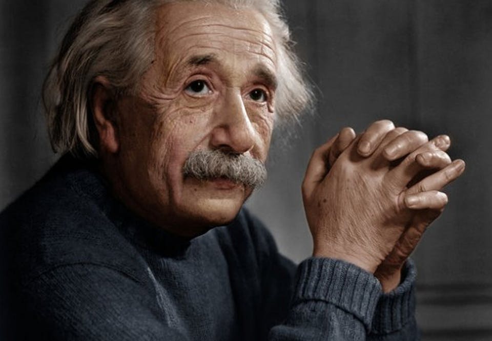 Albert Einstein Kone Og Barn All About Horses Cows New Classics Albert Einstein Kone Og Barn All About Horses Cows New Classics