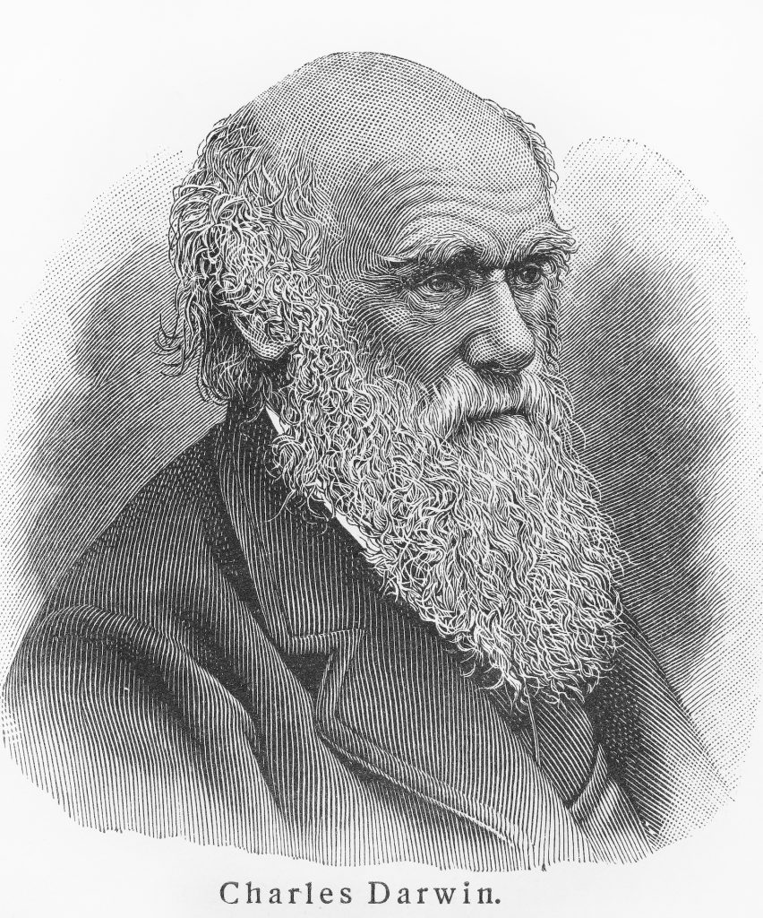 Læs om Charles Darwin og evolutionsteorien. Naturlig udvælgelse og banebrydende liv som forsker.